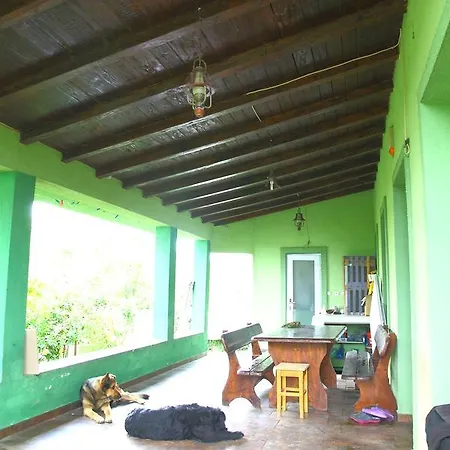 Dalina Mamaia Nord Habitación en casa particular Năvodari