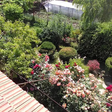 Habitación en casa particular Dalina Mamaia Nord Năvodari